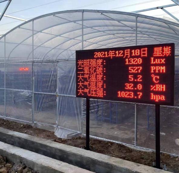 安徽滁州溫室大棚安裝案例