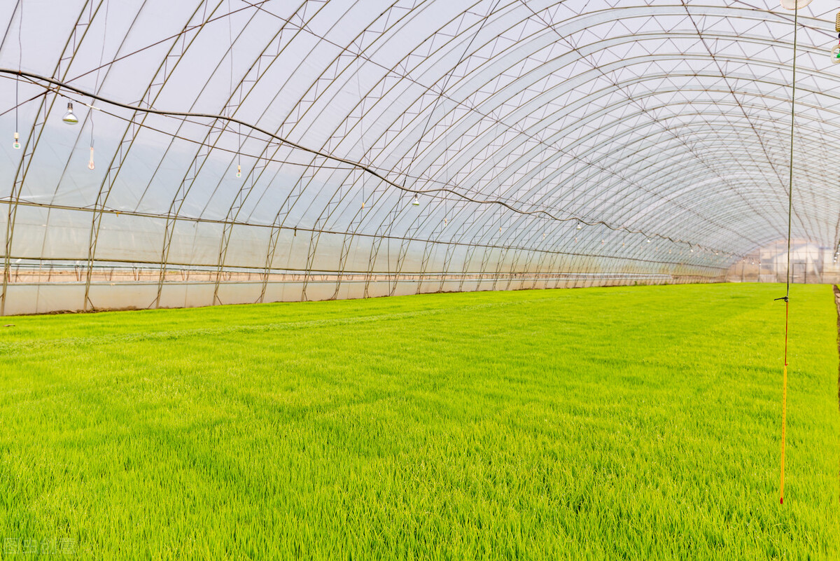 農業物聯網溫室大棚灌溉解決方案