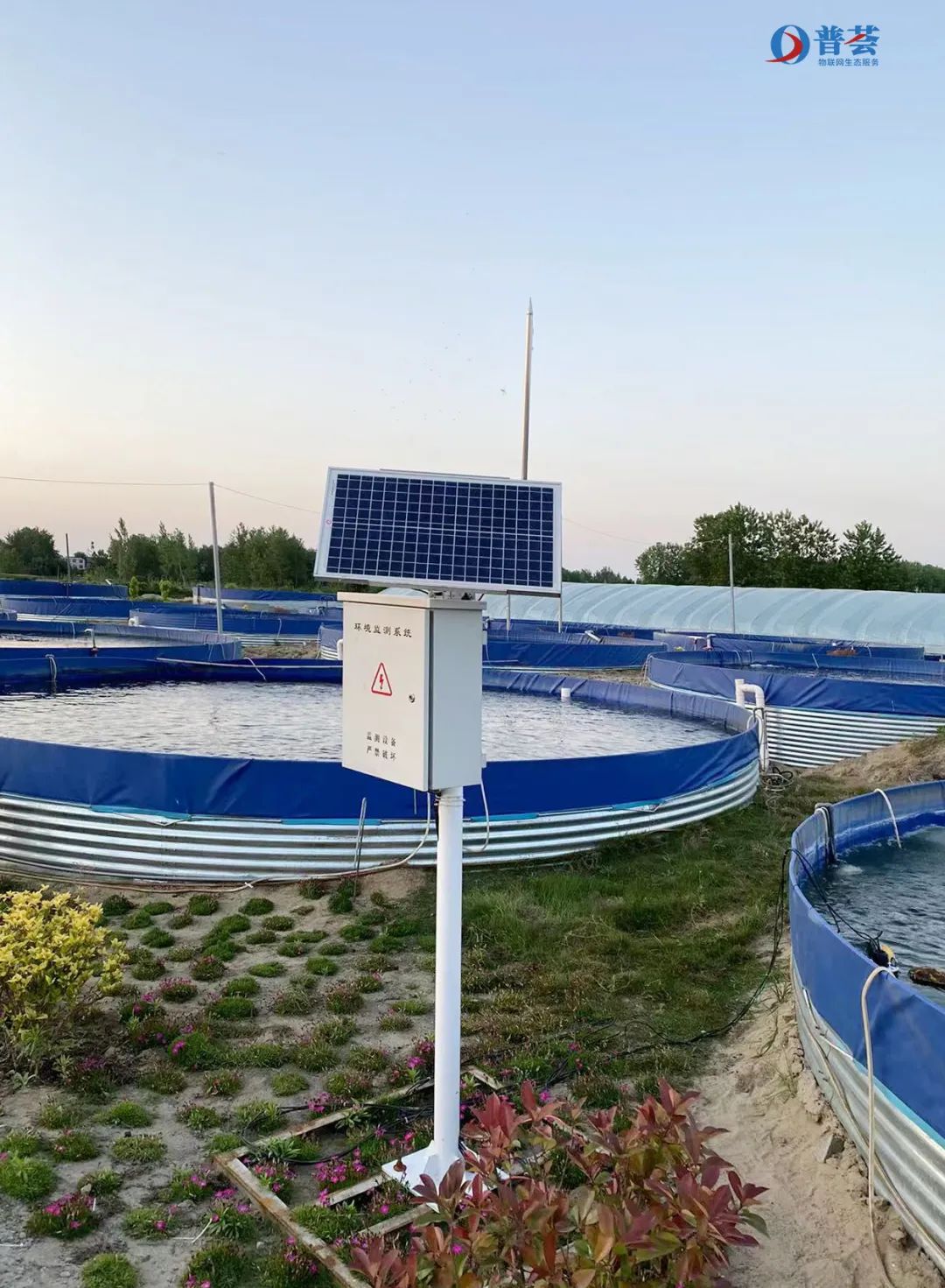 湖北襄陽的水產養殖監測系統